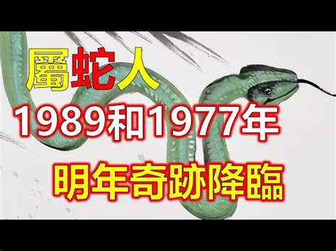 蛇五行屬什麼|屬蛇人的五行是什麼？從五行看生肖蛇財運！